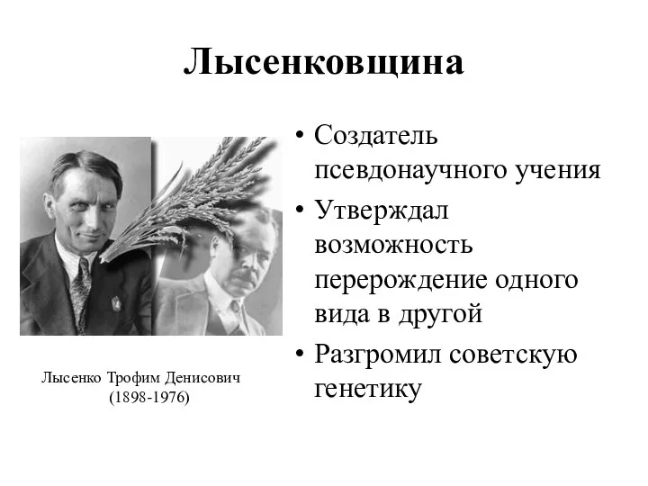 Лысенковщина Создатель псевдонаучного учения Утверждал возможность перерождение одного вида в другой