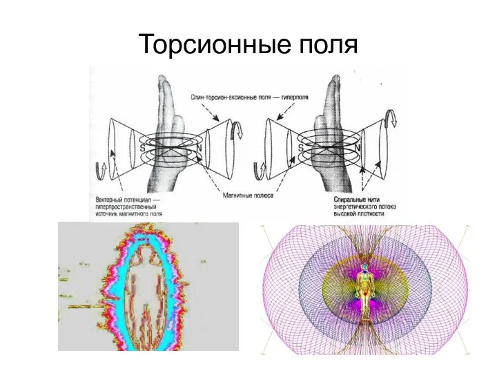 Торсионные поля