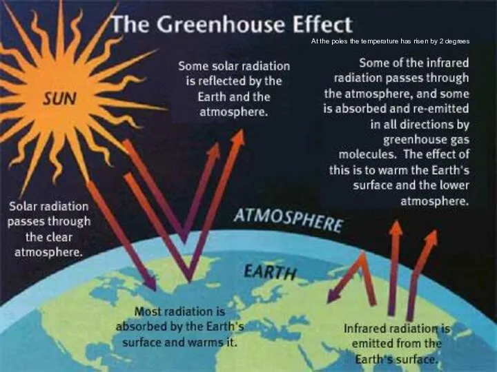 At the poles the temperature has risen by 2 degrees