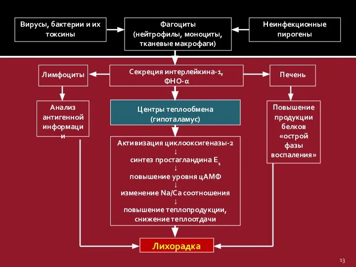 Вирусы, бактерии и их токсины Неинфекционные пирогены Фагоциты (нейтрофилы, моноциты, тканевые