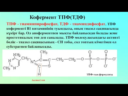 Кофермент ТПФ(ТДФ) ТПФ - тиаминпирофосфат, ТДФ - тиаминдифосфат. ТПФ коферменті В1