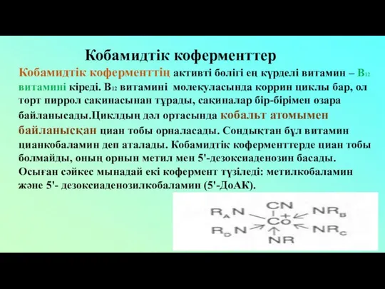 Кобамидтік коферменттің активті бөлігі ең күрделі витамин – В12 витамині кіреді.