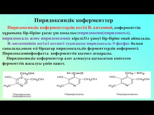 Пиридоксиндік коферменттер Пиридоксиндік коферменттердің негізі В6 витамині, коферменттің құрамына бір-біріне ұқсас