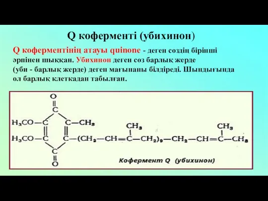 Q коферменті (убихинон) Q коферментінің атауы quinone - деген сөздің бірінші