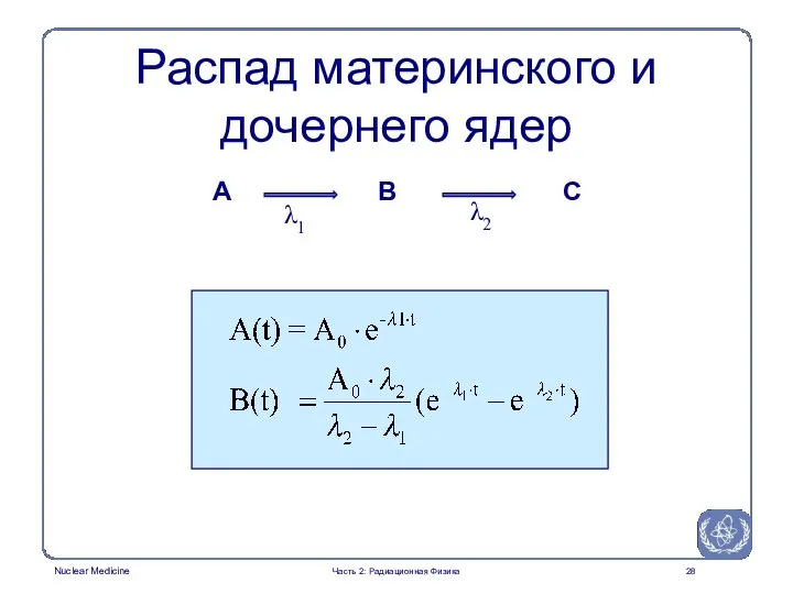 Распад материнского и дочернего ядер A C B λ1 λ2 Часть 2: Радиационная Физика