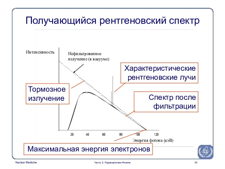 Получающийся рентгеновский спектр Характеристические рентгеновские лучи Тормозное излучение Спектр после фильтрации