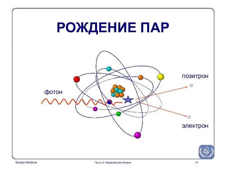 РОЖДЕНИЕ ПАР фотон позитрон электрон Часть 2: Радиационная Физика