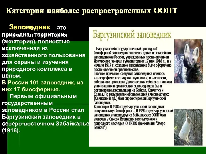 Категории наиболее распространенных ООПТ Заповедник – это природная территория (акватория), полностью