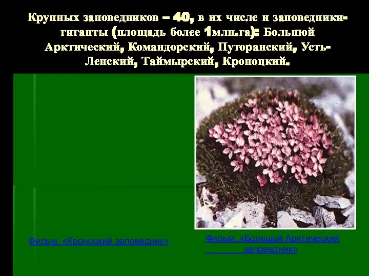 Крупных заповедников – 40, в их числе и заповедники-гиганты (площадь более