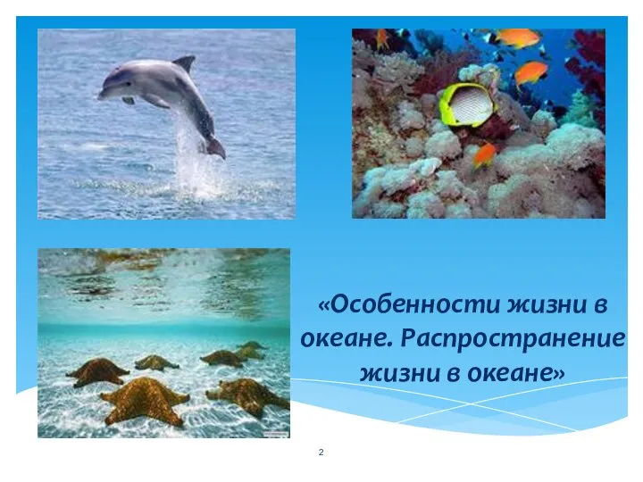 «Особенности жизни в океане. Распространение жизни в океане»