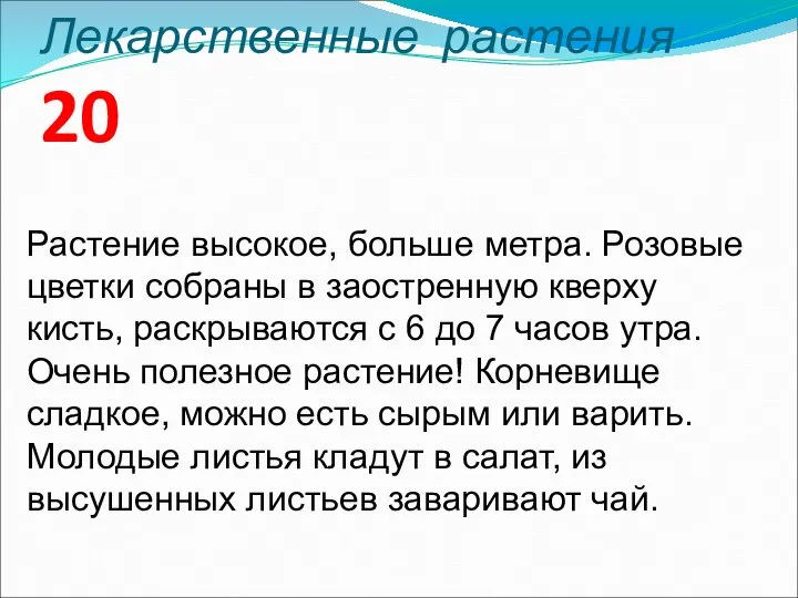 Лекарственные растения 20 Растение высокое, больше метра. Розовые цветки собраны в