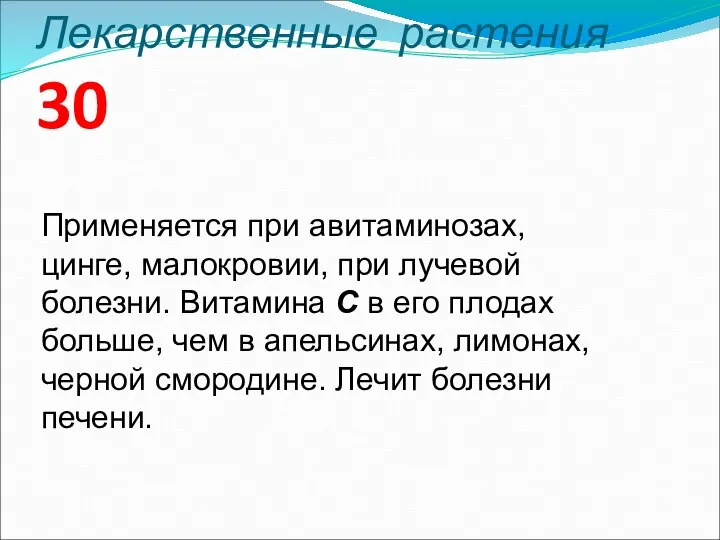 Лекарственные растения 30 Применяется при авитаминозах, цинге, малокровии, при лучевой болезни.