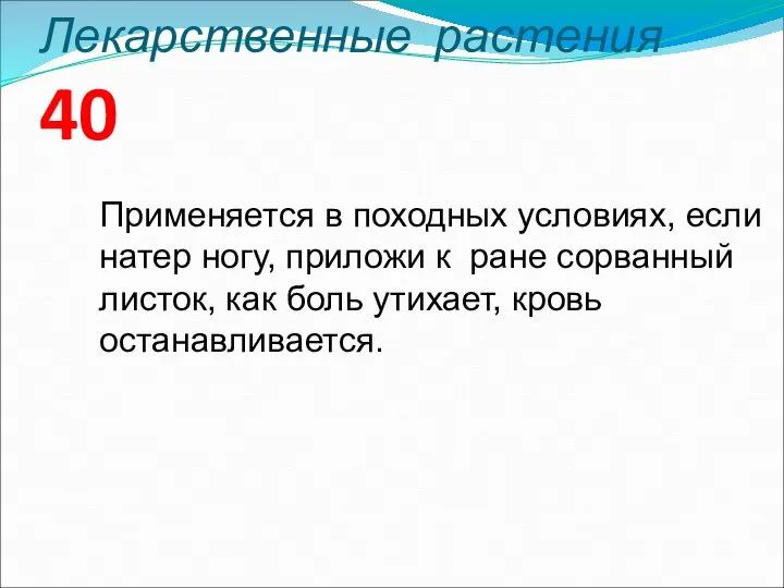 Лекарственные растения 40 Применяется в походных условиях, если натер ногу, приложи