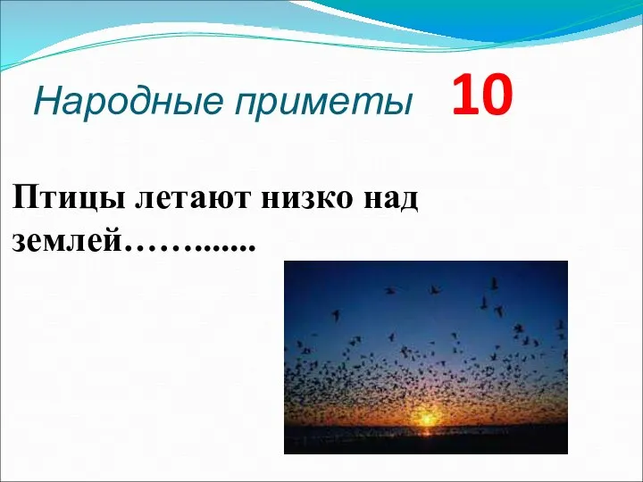 Народные приметы 10 Птицы летают низко над землей…….......