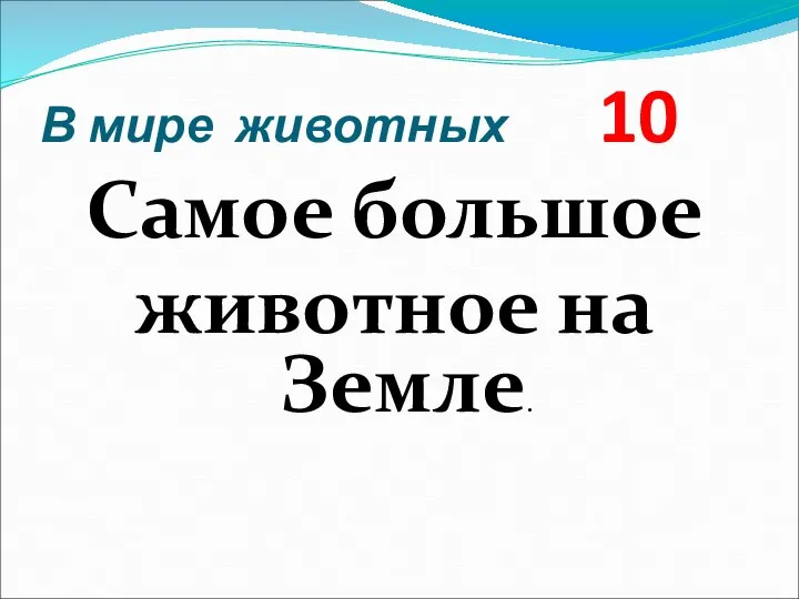 В мире животных 10 Самое большое животное на Земле.