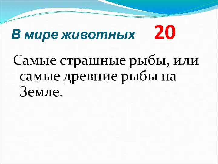 В мире животных 20 Самые страшные рыбы, или самые древние рыбы на Земле.