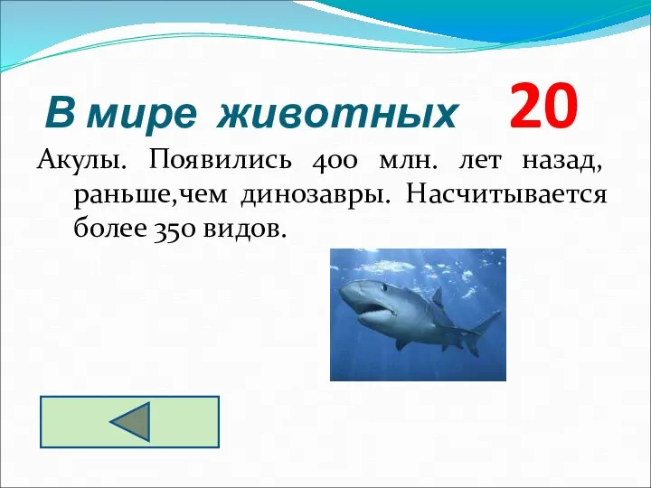 Акулы. Появились 400 млн. лет назад, раньше,чем динозавры. Насчитывается более 350 видов. В мире животных 20