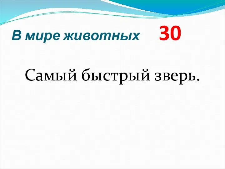 В мире животных 30 Самый быстрый зверь.