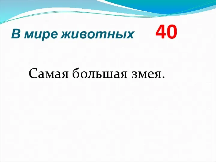 В мире животных 40 Самая большая змея.