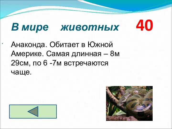 В мире животных 40 . Анаконда. Обитает в Южной Америке. Самая