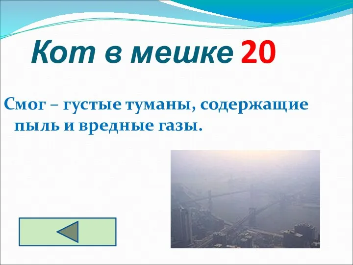 Кот в мешке 20 Смог – густые туманы, содержащие пыль и вредные газы.