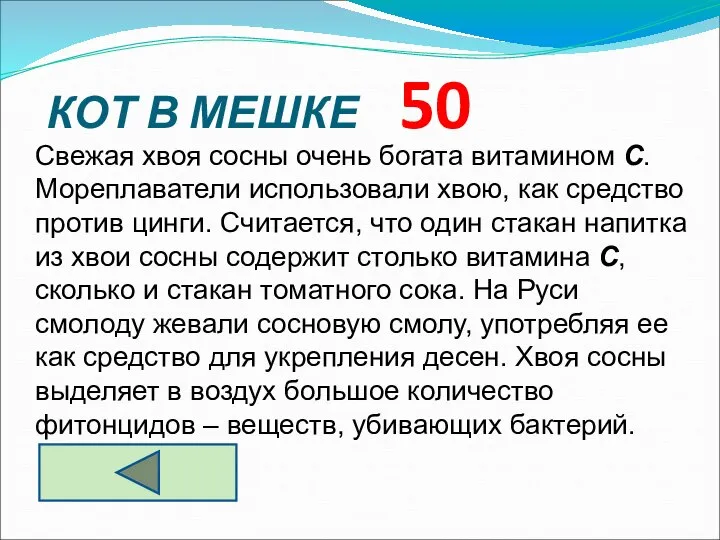 КОТ В МЕШКЕ 50 Свежая хвоя сосны очень богата витамином С.