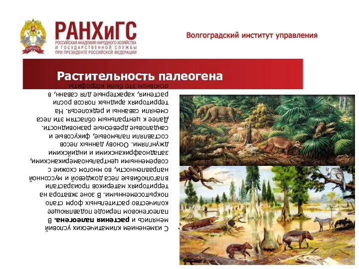 С изменением климатических условий менялись и растения палеогена. В палеогеновом периоде