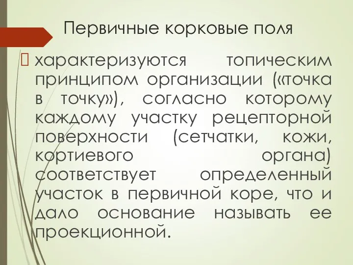 Первичные корковые поля характеризуются топическим принципом организации («точка в точку»), согласно