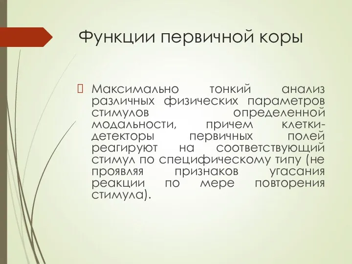 Функции первичной коры Максимально тонкий анализ различных физических параметров стимулов определенной