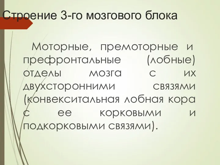 Строение 3-го мозгового блока Моторные, премоторные и префронтальные (лобные) отделы мозга