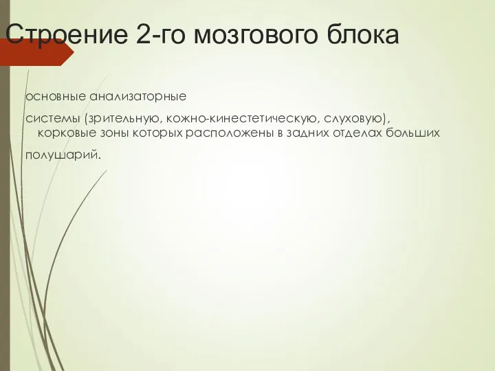 Строение 2-го мозгового блока основные анализаторные системы (зрительную, кожно-кинестетическую, слуховую), корковые