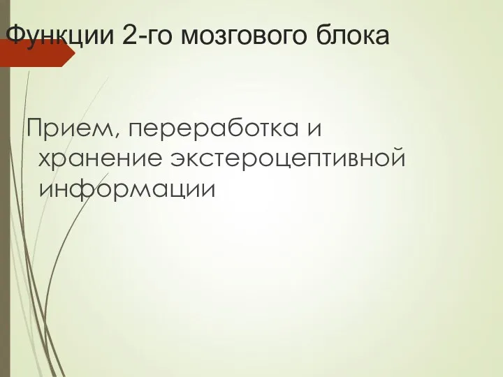 Функции 2-го мозгового блока Прием, переработка и хранение экстероцептивной информации