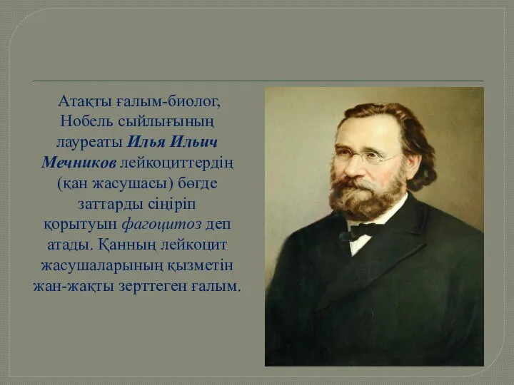 Атақты ғалым-биолог, Нобель сыйлығының лауреаты Илья Ильич Мечников лейкоциттердің (қан жасушасы)