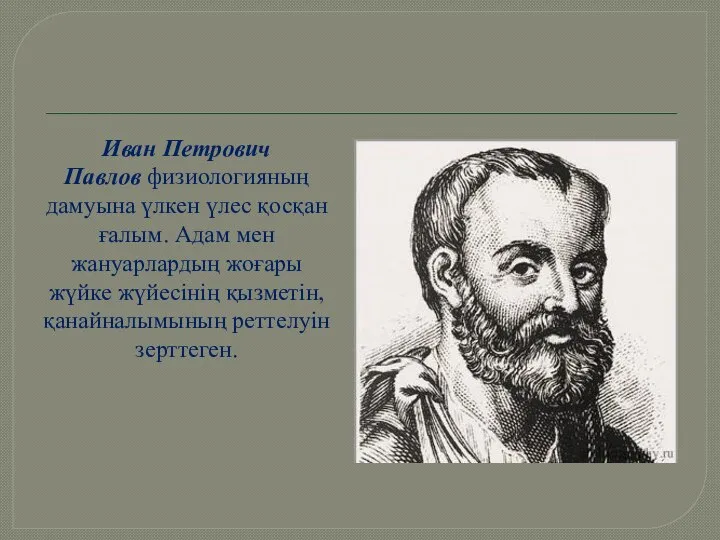 Иван Петрович Павлов физиологияның дамуына үлкен үлес қосқан ғалым. Адам мен