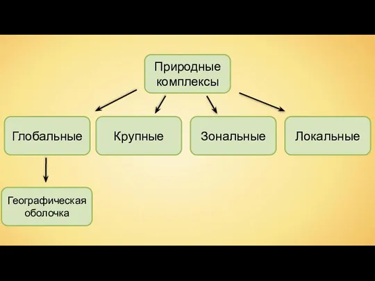 Природные комплексы Глобальные Крупные Зональные Локальные Географическая оболочка