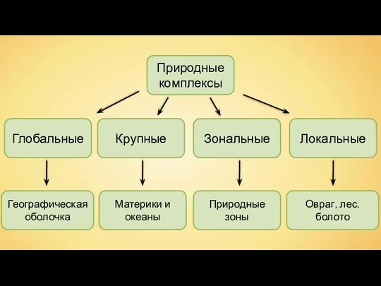 Природные комплексы Глобальные Крупные Зональные Локальные Географическая оболочка Материки и океаны Природные зоны Овраг, лес, болото