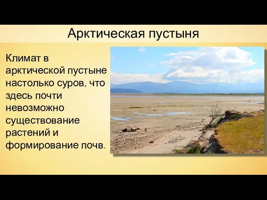 Арктическая пустыня Климат в арктической пустыне настолько суров, что здесь почти