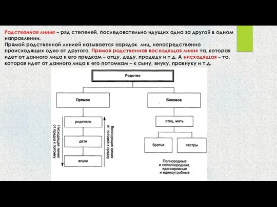 Родственная линия – ряд степеней, последовательно идущих одна за другой в