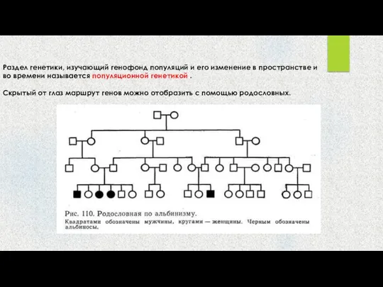 Раздел генетики, изучающий генофонд популяций и его изменение в пространстве и