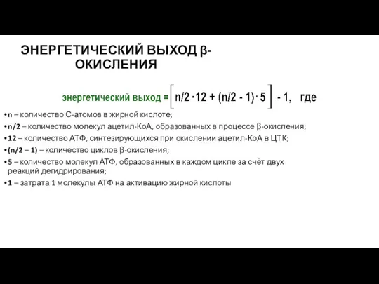 ЭНЕРГЕТИЧЕСКИЙ ВЫХОД β-ОКИСЛЕНИЯ n – количество С-атомов в жирной кислоте; n/2