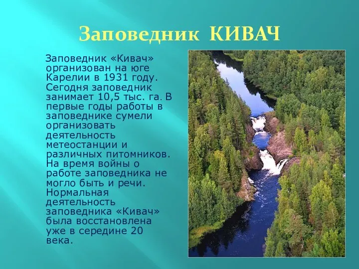 Заповедник КИВАЧ Заповедник «Кивач» организован на юге Карелии в 1931 году.