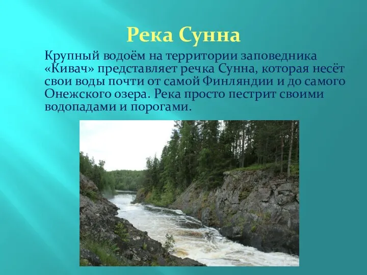 Река Сунна Крупный водоём на территории заповедника «Кивач» представляет речка Сунна,