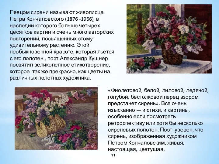 Певцом сирени называют живописца Петра Кончаловского (1876 -1956), в наследии которого