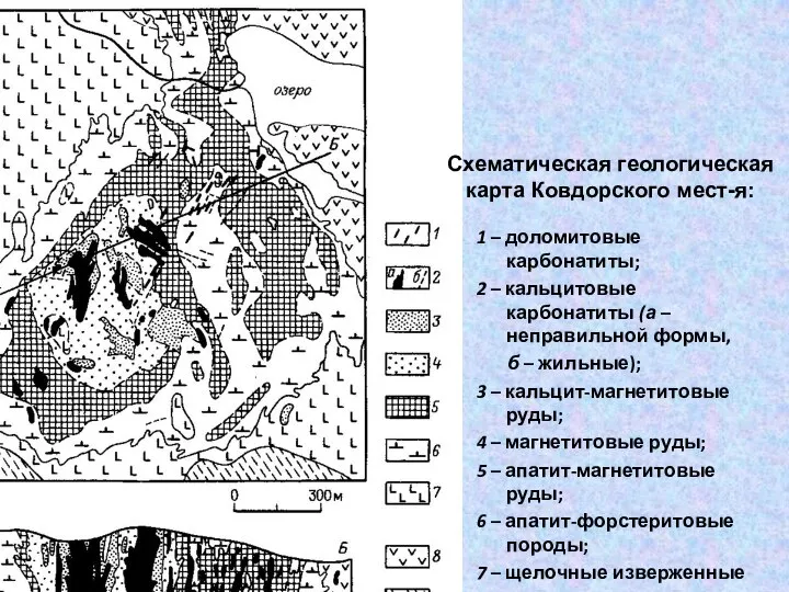 1 – доломитовые карбонатиты; 2 – кальцитовые карбонатиты (а – неправильной