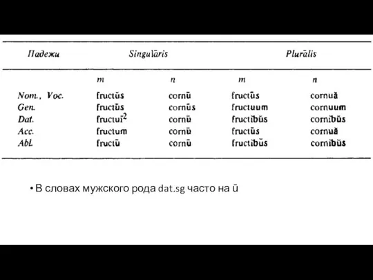 В словах мужского рода dat.sg часто на ū