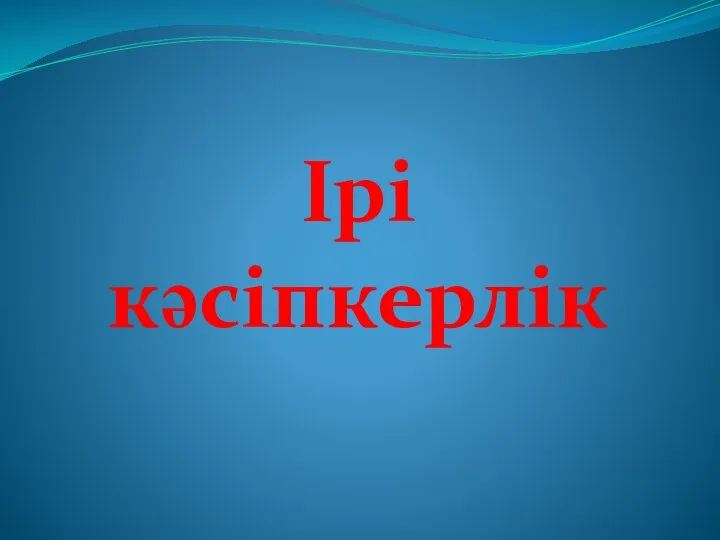 Ірі кәсіпкерлік