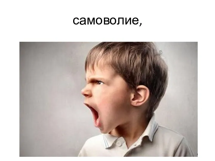 самоволие,