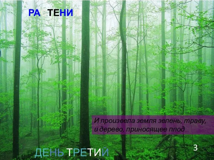 ДЕНЬ ТРЕТИЙ И произвела земля зелень, траву, и дерево, приносящее плод РАСТЕНИЯ 3