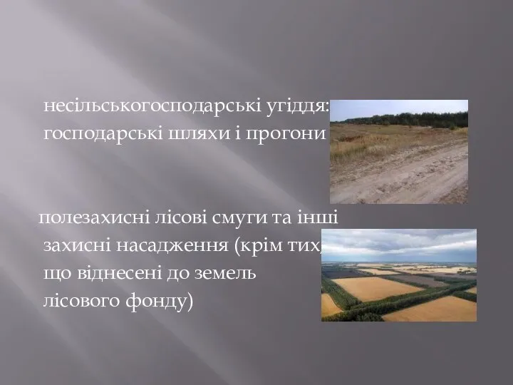 несільськогосподарські угіддя: господарські шляхи і прогони полезахисні лісові смуги та інші