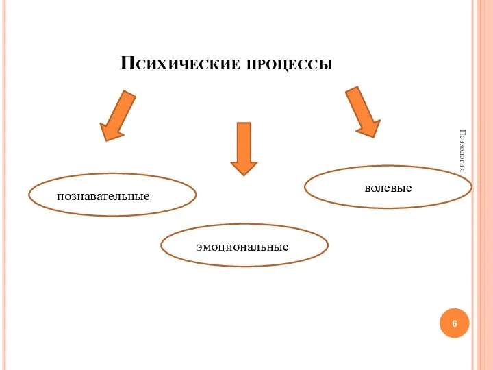 Психические процессы волевые познавательные эмоциональные Психология